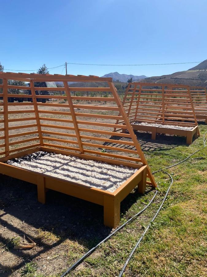 Cabanas Vicuna Cielo De Peralillo - Valle De Elqui Vicuña Exterior foto